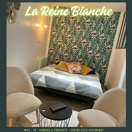 Apartament Studio La Reine Blanche - 4Pers - Rdc Bourges Zewnętrze zdjęcie