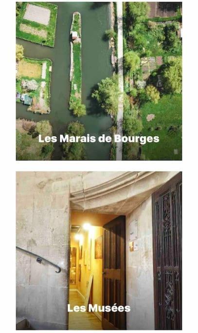 Apartament Studio La Reine Blanche - 4Pers - Rdc Bourges Zewnętrze zdjęcie